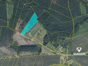 Prodej podílu lesa, Krásná Hora, Kojkovice, 2716 m2