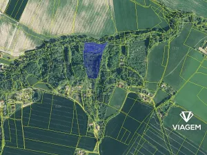 Prodej podílu lesa, Sobotka, 2241 m2