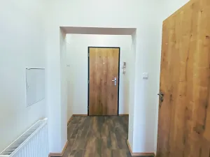 Pronájem bytu 1+kk, Čistá, 41 m2