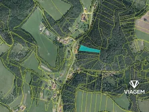 Prodej lesa, Letovice, 2703 m2