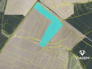 Prodej podílu pole, Prusice, 13894 m2