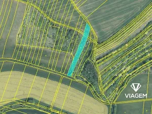 Prodej podílu pole, Šelešovice, 991 m2