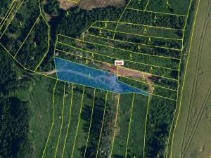 Dražba lesa, Moravské Budějovice, 2338 m2