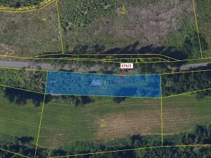 Dražba lesa, Kojetín, 1631 m2