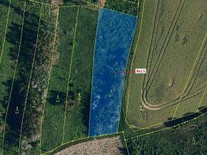 Dražba lesa, Moravské Budějovice, 3604 m2