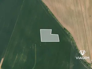 Prodej pole, Vinařice, 10484 m2