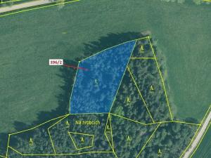 Dražba lesa, Kuřimany, 3340 m2