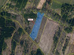 Dražba lesa, Žirovnice, 5108 m2