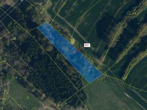 Dražba lesa, Olešná, 2967 m2