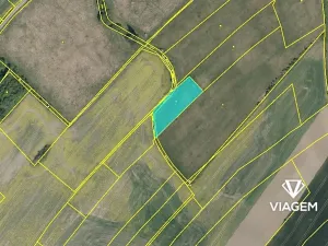 Prodej podílu pole, Dašice, 2447 m2