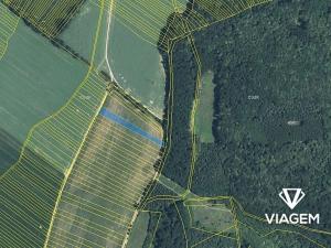 Prodej pole, Mistřice, 3700 m2