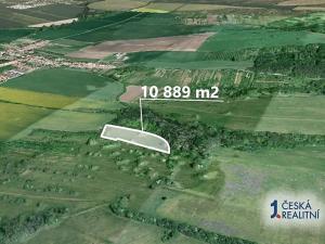 Prodej podílu pole, Kněždub, 6049 m2