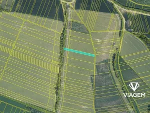 Prodej podílu pole, Nedachlebice, 802 m2