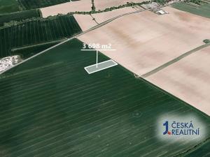 Prodej podílu pole, Březolupy, 616 m2