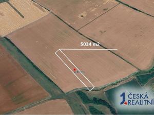Prodej podílu pole, Březolupy, 839 m2