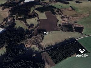 Prodej lesa, Pelhřimov, 157 m2