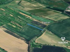 Prodej podílu pole, Klobouky u Brna, 1160 m2
