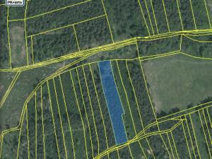 Prodej lesa, Blížejov - Lštění, 4152 m2