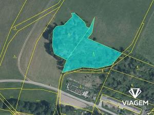 Prodej podílu lesa, Oborná, 1319 m2