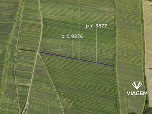 Prodej podílu pole, Javorník, 2058 m2