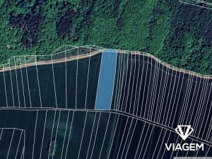 Prodej pole, Nová Ves, 6491 m2