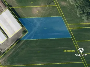 Prodej pole, Víceměřice, 5054 m2