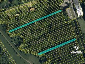 Prodej podílu lesa, Kněždub, 616 m2