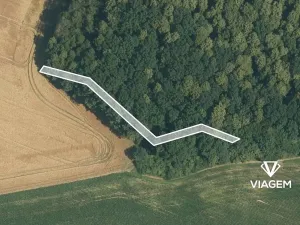 Prodej lesa, Hustopeče nad Bečvou, 347 m2