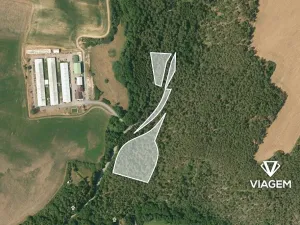 Prodej podílu lesa, Manětín, 2299 m2