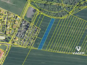 Prodej pole, Osek, 3022 m2