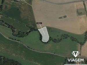 Prodej podílu pole, Horšovský Týn, 1276 m2