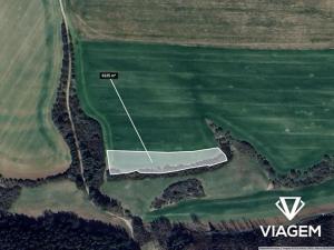 Prodej podílu pole, Vranová, 518 m2