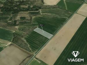 Prodej podílu pole, Horšovský Týn, 1559 m2