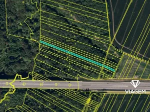 Prodej podílu lesa, Velká Polom, 2323 m2