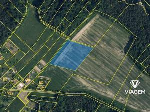 Prodej podílu pole, Mírová pod Kozákovem, 2399 m2