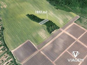 Prodej zahrady, Hovorany, 1843 m2