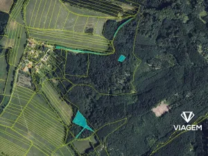 Prodej podílu lesa, Městečko Trnávka, 609 m2