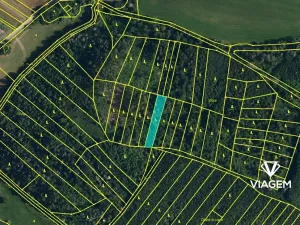 Prodej podílu lesa, Radkovice u Budče, 13191 m2