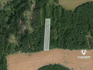 Prodej lesa, Hradiště, 2874 m2