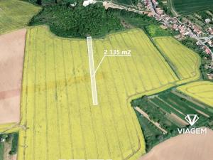 Prodej podílu pole, Labuty, 1156 m2