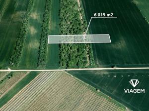 Prodej podílu pole, Hrušky, 1002 m2