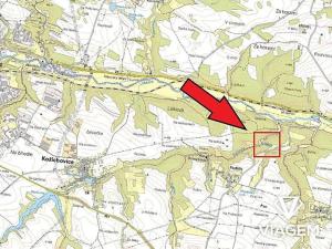 Prodej lesa, Slavičky, 3165 m2