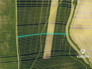 Prodej podílu pole, Archlebov, 1705 m2