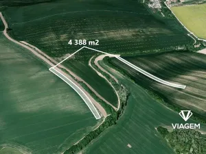 Prodej podílu pole, Archlebov, 2194 m2