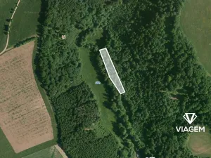 Prodej podílu lesa, Liberk, 1889 m2