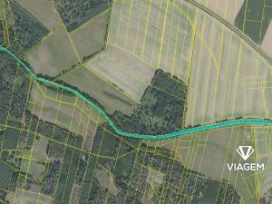 Prodej podílu lesa, Sokoleč, 1999 m2