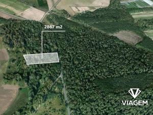 Prodej lesa, Křenek, 2867 m2