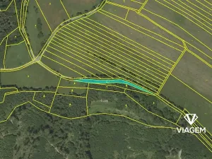 Prodej podílu lesa, Městečko Trnávka, 3310 m2