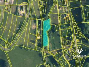 Prodej podílu lesa, Zlatá Olešnice, 963 m2