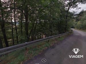 Prodej lesa, Milenov, 820 m2